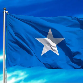Pasūtījuma Somālijā karoga 90X150cm Karājas Poliestera Somālijas Valsts karogu, par lielo notikumu āra aktivitātes nacionālā diena